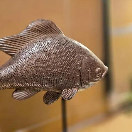 Apartament R5 Graal-Mueritz